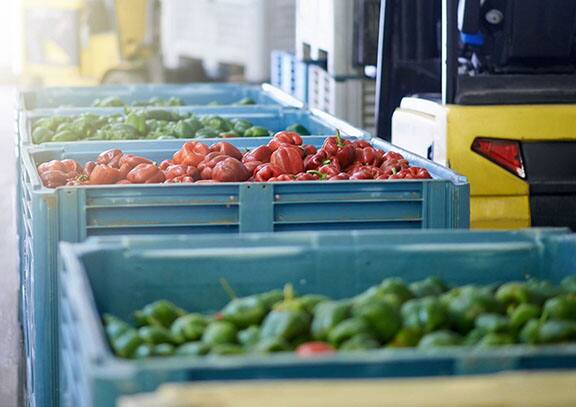 The right refrigeration system keeps food at the right temperature during processing and in storage. Let us help you extend product life and reduce energy expenses.