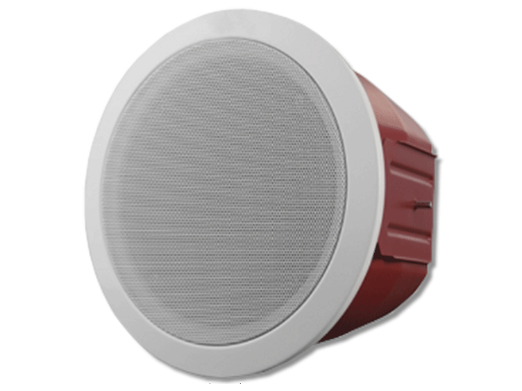 A PAVA Speaker on a white background