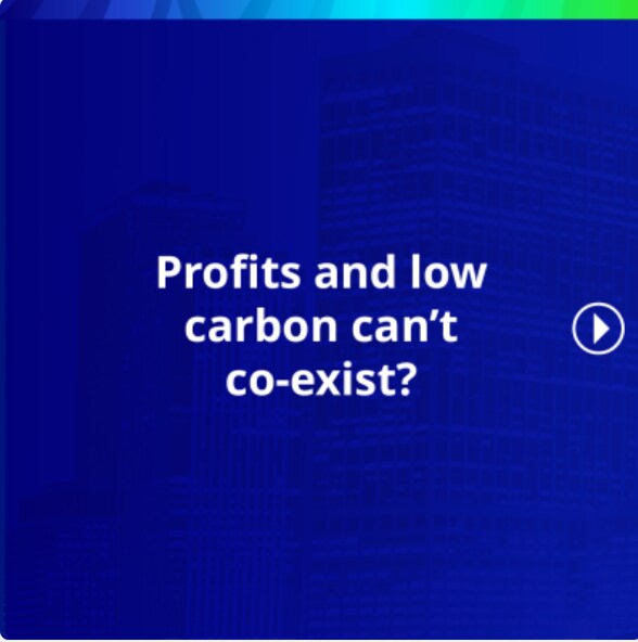 Profits and low carbon can't co-exist