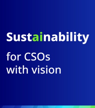 Sustainability for CSOs with vision