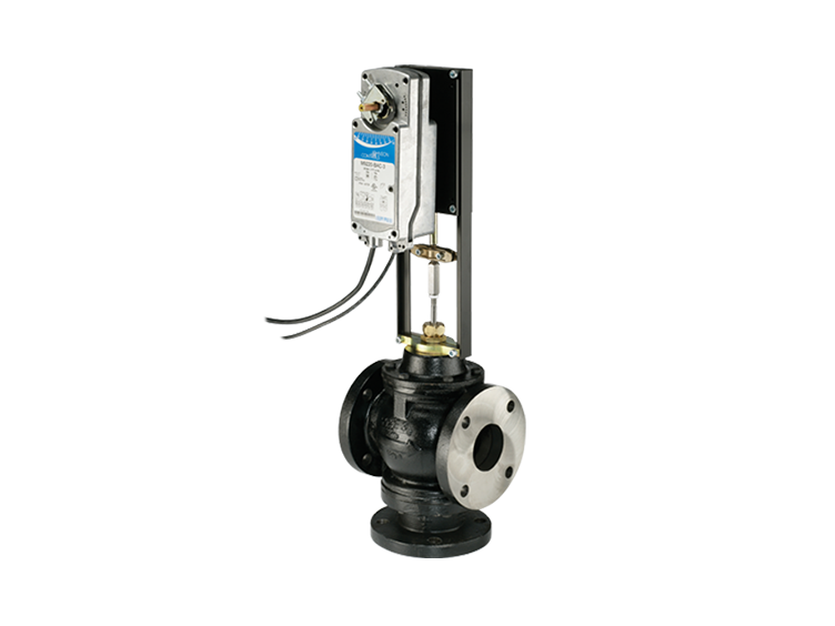 VG2000 Cast Iron Flanged Globe Valve
