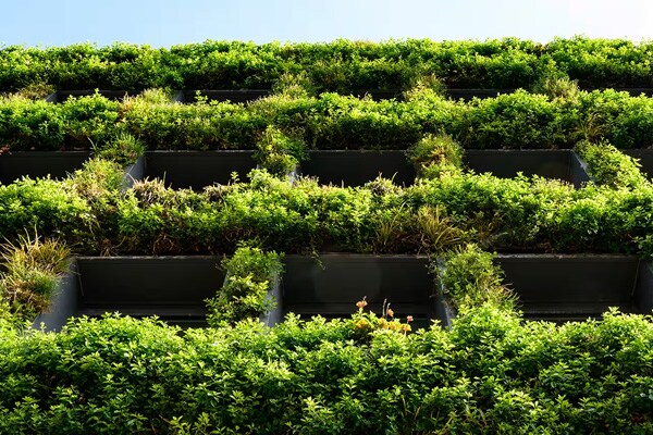 Closeup of an apartment building with vertical garden