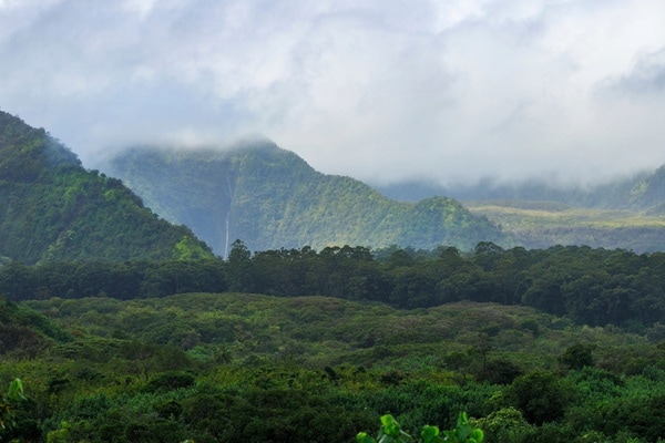 University of Hawai
