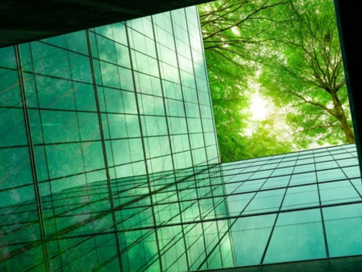 Exterior of an office building with glass windows surrounded by greenery