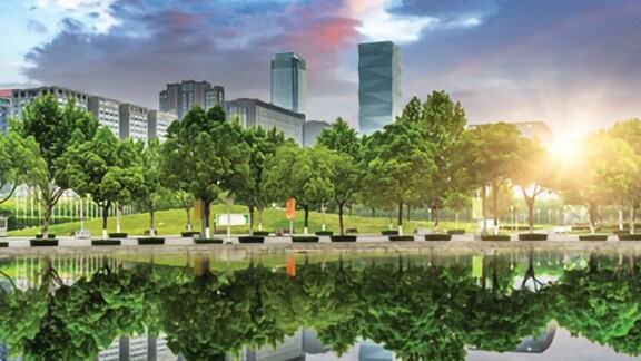 Commercial building surrounded by greenery