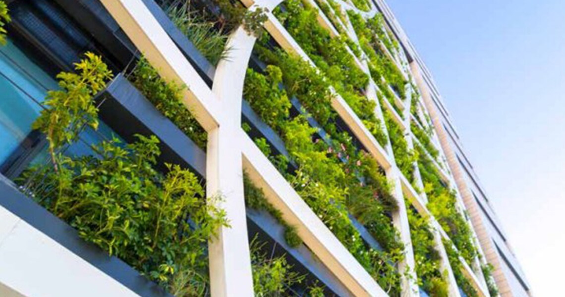 Building with green plants
