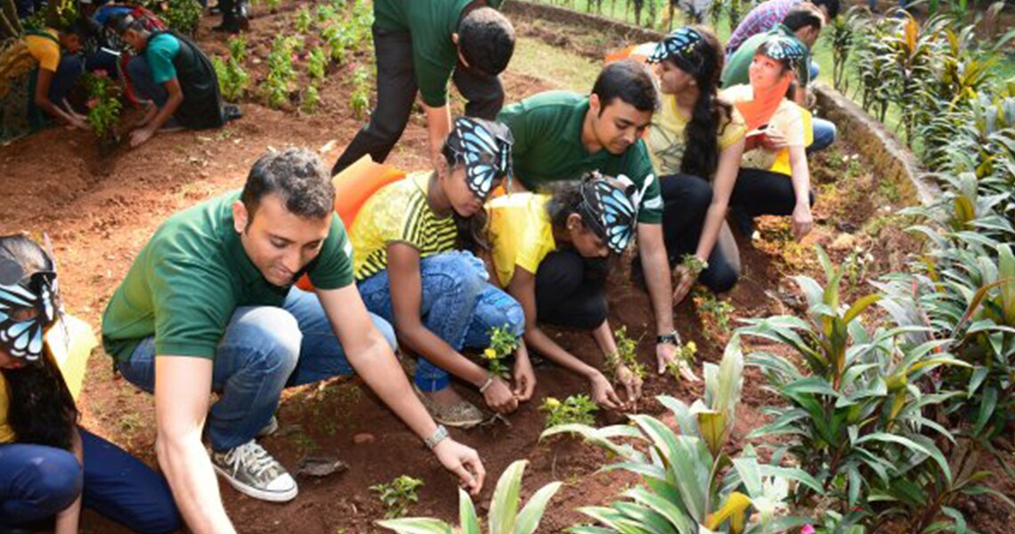 insights carousel volunteer day