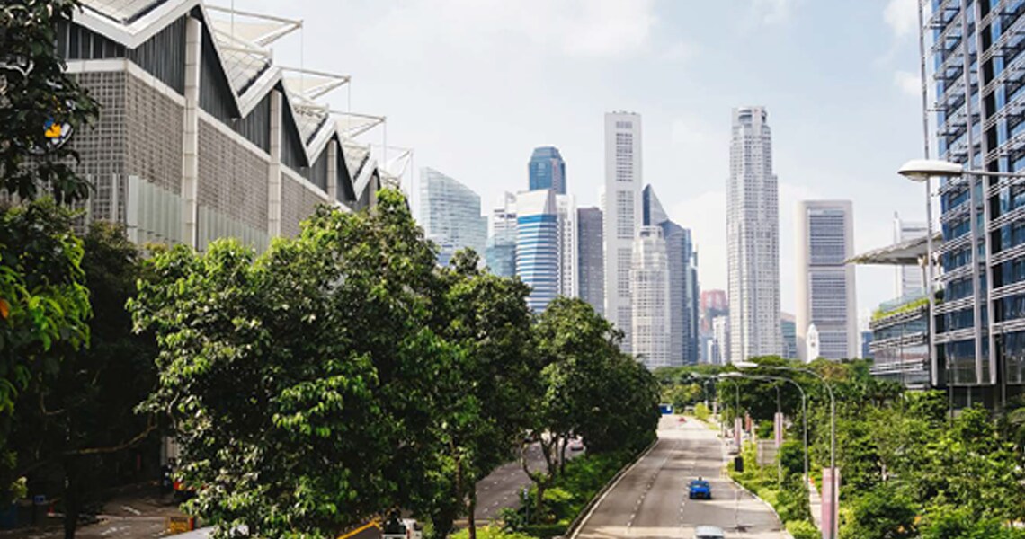 Vehicles travelling on roads lined with green trees