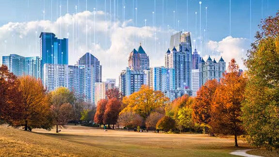 A lawn at autumn surrounded by trees, with skyscrapers in the background