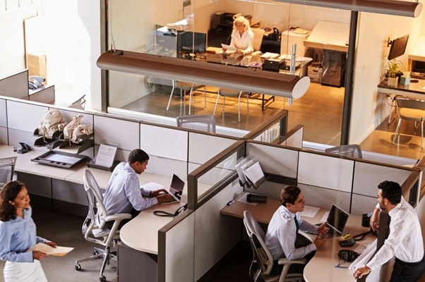 Employees in office