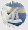Sabroe Bear