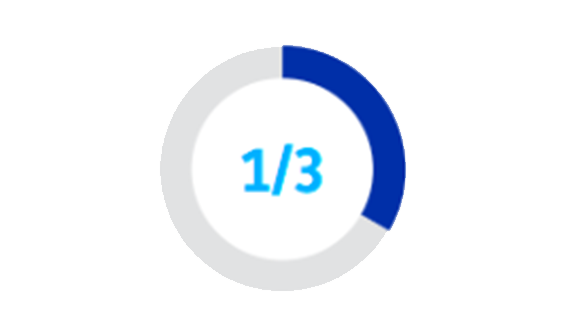 Circular infographic displaying one third of a fraction