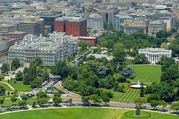 Aerial view of a cityscape amid greenery
